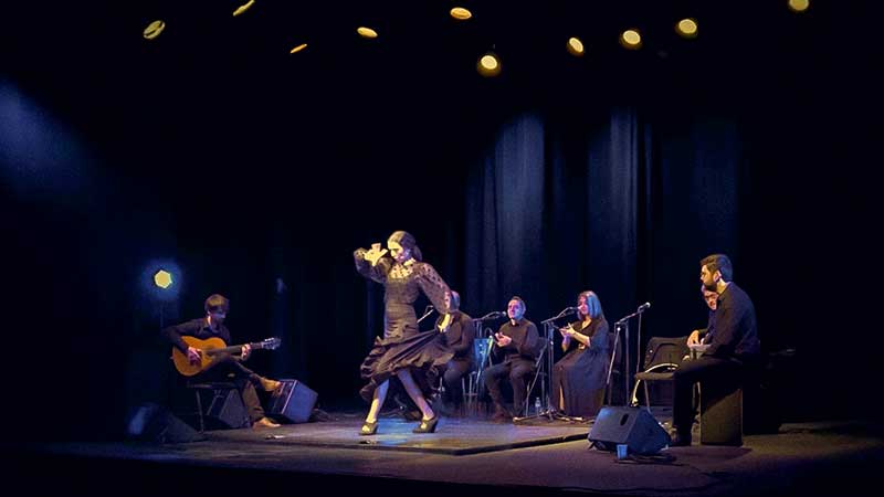 Première du spectacle de flamenco Regreso à l'Espace Gérard Philipe de Jarny - Credit: Tomas Crespo